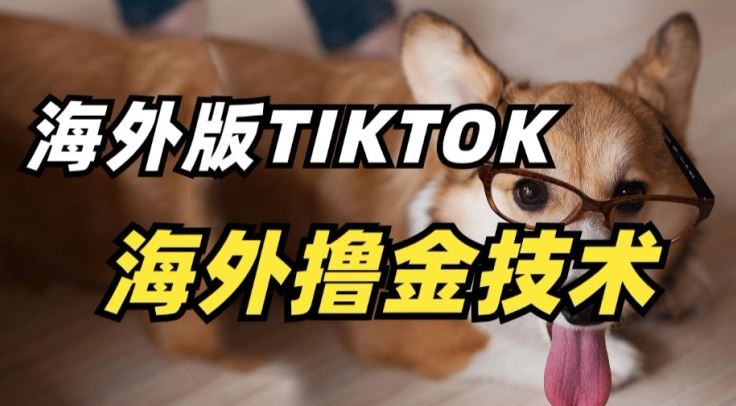 抖音海外版tiktok撸金技术，这个风口行业，赚钱真的不难【揭秘】-87副业网