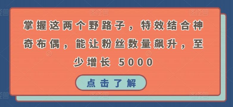 掌握这两个野路子，特效结合神奇布偶，能让粉丝数量飙升，至少增长 5000【揭秘】-87副业网