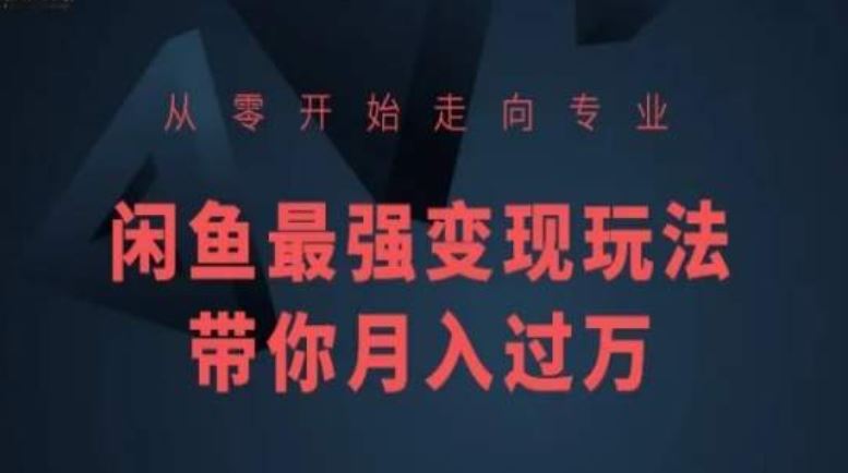 从零开始走向专业，闲鱼最强变现玩法带你月入过万-87副业网