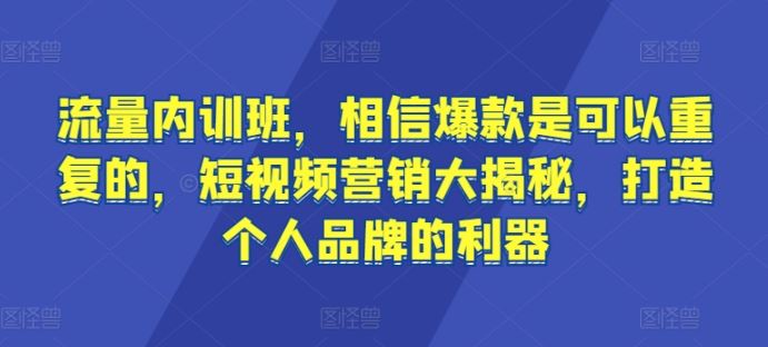 流量内训班，相信爆款是可以重复的，短视频营销大揭秘，打造个人品牌的利器-87副业网