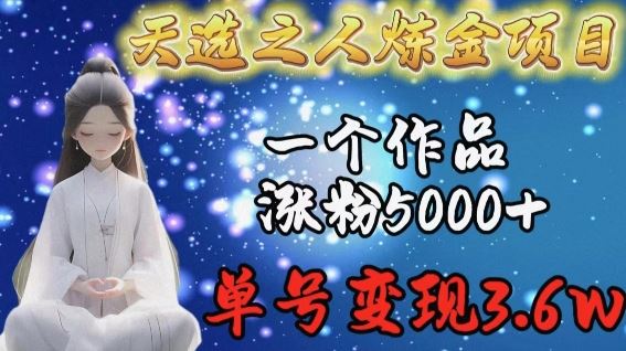 天选之人炼金项目，一个作品涨粉5000+，单号变现3.6w【揭秘】-87副业网