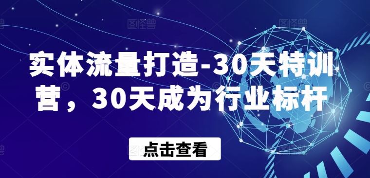 实体流量打造-30天特训营，30天成为行业标杆-87副业网