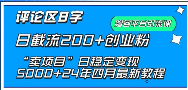 抖音评论区8字日截流200+创业粉 “卖项目”日稳定变现5000+【揭秘】-87副业网