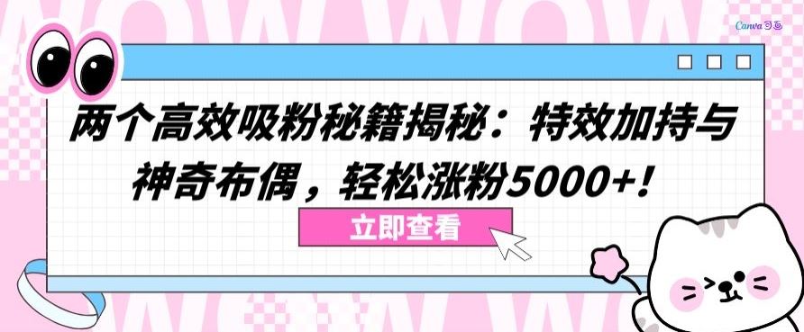 两个高效吸粉秘籍揭秘：特效加持与神奇布偶，轻松涨粉5000+【揭秘】-87副业网