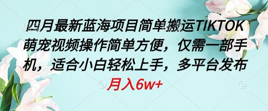 四月最新蓝海项目，简单搬运TIKTOK萌宠视频，操作简单方便，仅需一部手机【揭秘】-87副业网