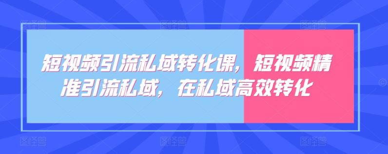 短视频引流私域转化课，短视频精准引流私域，在私域高效转化-87副业网