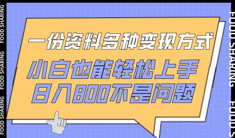 一份资料多种变现方式，小白也能轻松上手，日入800不是问题【揭秘】-87副业网