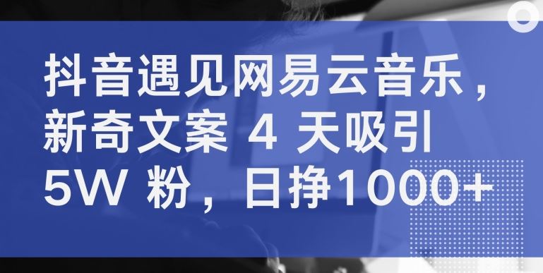 抖音遇见网易云音乐，新奇文案 4 天吸引 5W 粉，日挣1000+【揭秘】-87副业网