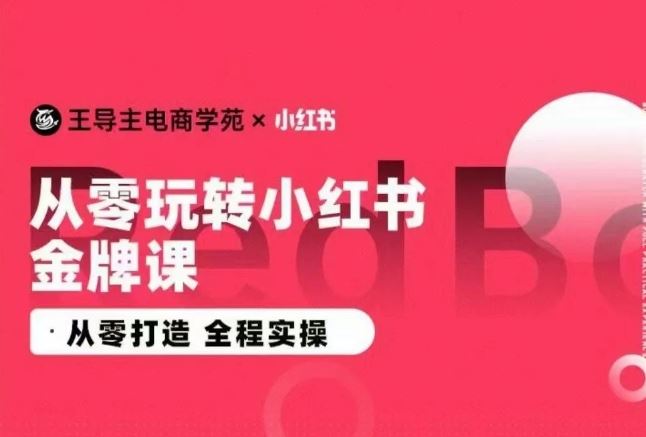 王导主·小红书电商运营实操课，​从零打造  全程实操-87副业网