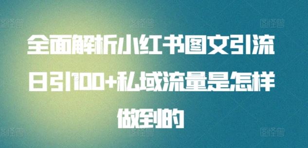 全面解析小红书图文引流日引100+私域流量是怎样做到的【揭秘】-87副业网