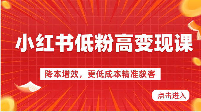 小红书低粉高变现课-降本增效，更低成本精准获客，小红书必爆的流量密码-87副业网