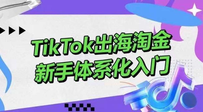 TikTok出海淘金，新手体系化入门，零基础快速入门，掌握短视频、直播带货等引流到变现的知识-87副业网