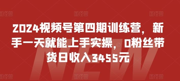 2024视频号第四期训练营，新手一天就能上手实操，0粉丝带货日收入3455元-87副业网