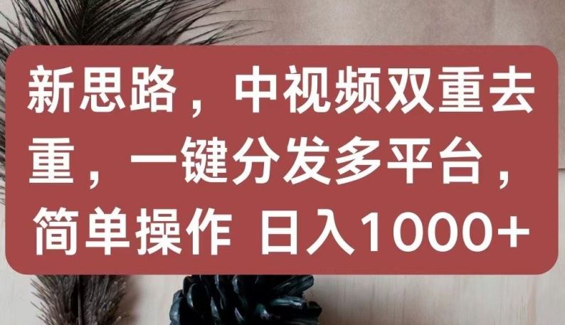 新思路，中视频双重去重，一键分发多平台，简单操作，日入1000+【揭秘】-87副业网