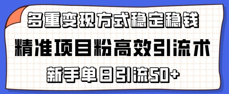 精准项目粉高效引流术，新手单日引流50+，多重变现方式稳定赚钱【揭秘】-87副业网