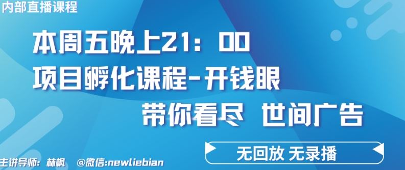 4.26日内部回放课程《项目孵化-开钱眼》赚钱的底层逻辑【揭秘】-87副业网