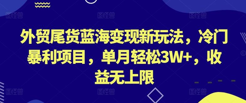 外贸尾货蓝海变现新玩法，冷门暴利项目，单月轻松3W+，收益无上限【揭秘】-87副业网