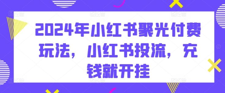 2024年小红书聚光付费玩法，小红书投流，充钱就开挂-87副业网