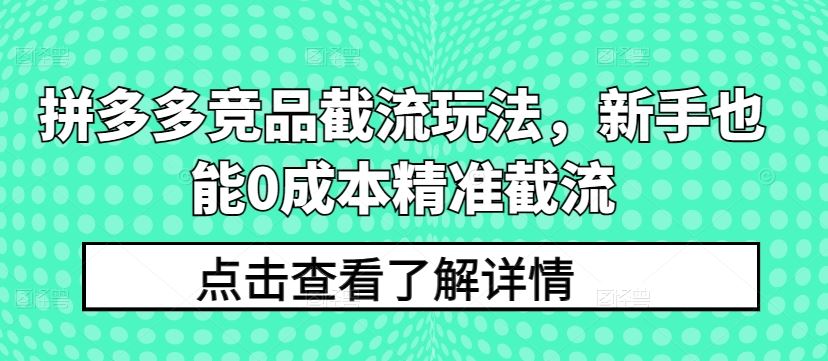 拼多多竞品截流玩法，新手也能0成本精准截流-87副业网