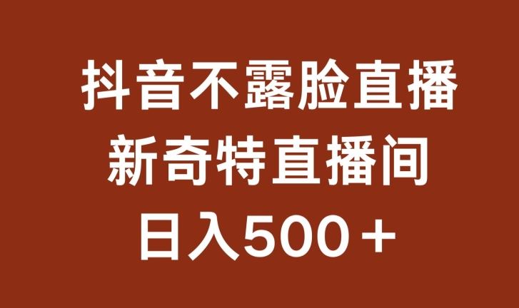 不露脸挂机直播，新奇特直播间，日入500+【揭秘】-87副业网