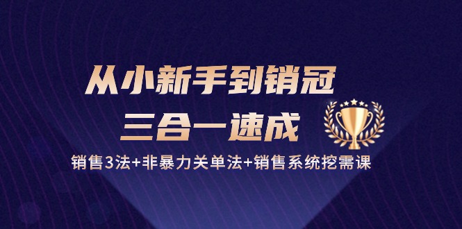 从小新手到销冠三合一速成：销售3法+非暴力关单法+销售系统挖需课 (27节)-87副业网