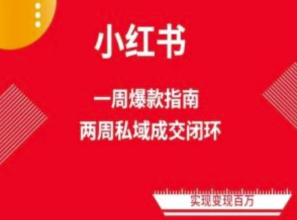 爆款小红书免费流量体系课程(两周变现)，小红书电商教程-87副业网