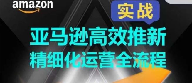 亚马逊高效推新精细化运营全流程，全方位、快速拉升产品排名和销量!-87副业网