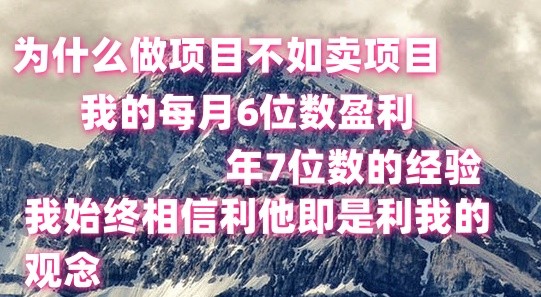 做项目不如卖项目，每月6位数盈利，年7位数经验-87副业网