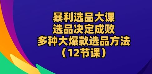 暴利选品大课：选品决定成败，教你多种大爆款选品方法(12节课)-87副业网