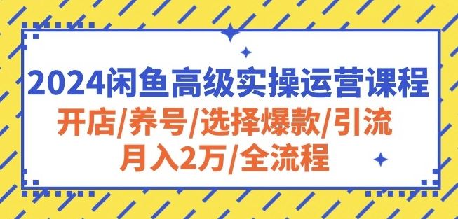 2024闲鱼高级实操运营课程：开店/养号/选择爆款/引流/月入2万/全流程-87副业网