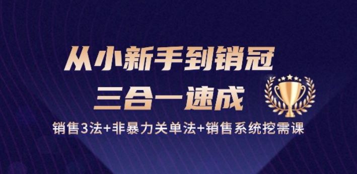 从小新手到销冠 三合一速成：销售3法+非暴力关单法+销售系统挖需课 (27节)-87副业网