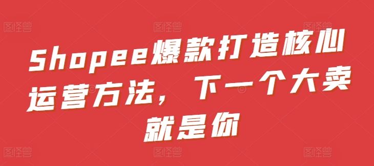 Shopee爆款打造核心运营方法，下一个大卖就是你-87副业网