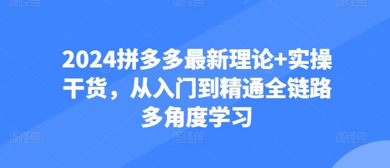 2024拼多多最新理论+实操干货，从入门到精通全链路多角度学习-87副业网