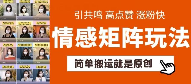 简单搬运，情感矩阵玩法，涨粉速度快，可带货，可起号【揭秘】-87副业网