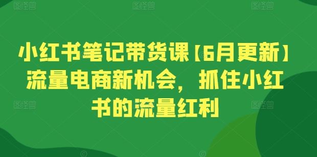 小红书笔记带货课【6月更新】流量电商新机会，抓住小红书的流量红利-87副业网