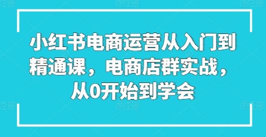 小红书电商运营从入门到精通课，电商店群实战，从0开始到学会-87副业网