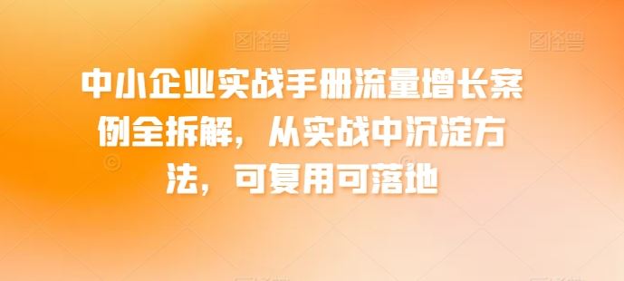 中小企业实战手册流量增长案例全拆解，从实战中沉淀方法，可复用可落地-87副业网