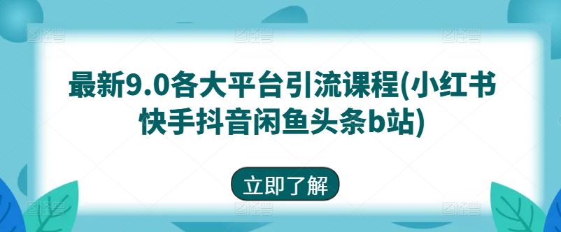 最新9.0各大平台引流课程(小红书快手抖音闲鱼头条b站)-87副业网