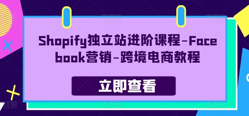 Shopify独立站进阶课程-Facebook营销-跨境电商教程-87副业网