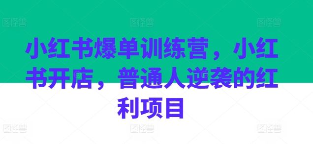 小红书爆单训练营，小红书开店，普通人逆袭的红利项目-87副业网