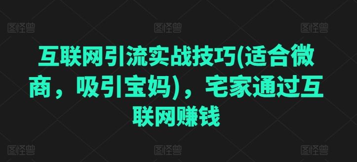 互联网引流实战技巧(适合微商，吸引宝妈)，宅家通过互联网赚钱-87副业网