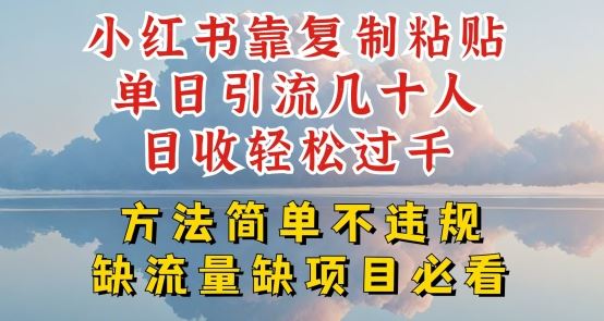 小红书靠复制粘贴单日引流几十人目收轻松过千，方法简单不违规【揭秘】-87副业网