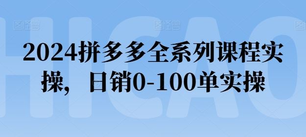 2024拼多多全系列课程实操，日销0-100单实操【必看】-87副业网