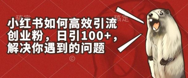 小红书如何高效引流创业粉，日引100+，解决你遇到的问题【揭秘】-87副业网