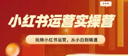 2024小红书运营实操营，​从入门到精通，完成从0~1~100-87副业网