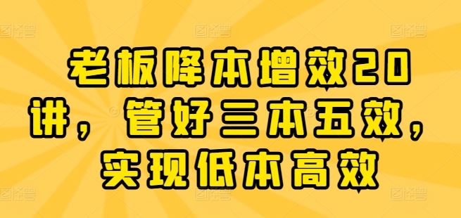 老板降本增效20讲，管好三本五效，实现低本高效-87副业网