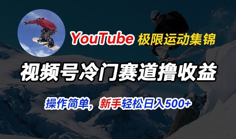 视频号冷门赛道撸收益，YouTube搬运极限运动集锦，暴力起号，操作简单流量高，轻松日入5张【揭秘】-87副业网