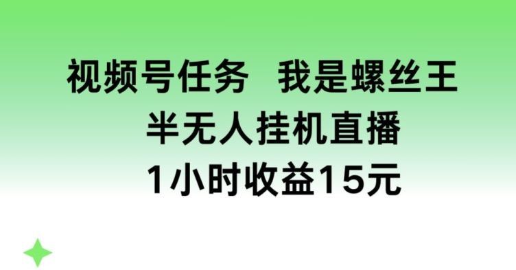 视频号任务，我是螺丝王， 半无人挂机1小时收益15元【揭秘】-87副业网