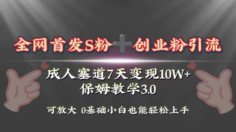 （8337期）全网首发s粉加创业粉引流变现，成人用品赛道7天变现10w+保姆教学3.0-87副业网