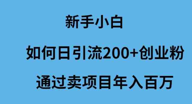 （9668期）新手小白如何日引流200+创业粉通过卖项目年入百万-87副业网